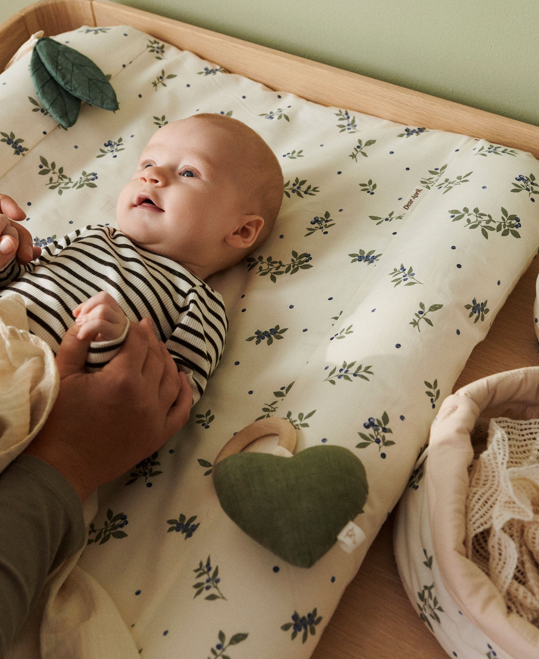 Dove Wickelkissen, Blueberries