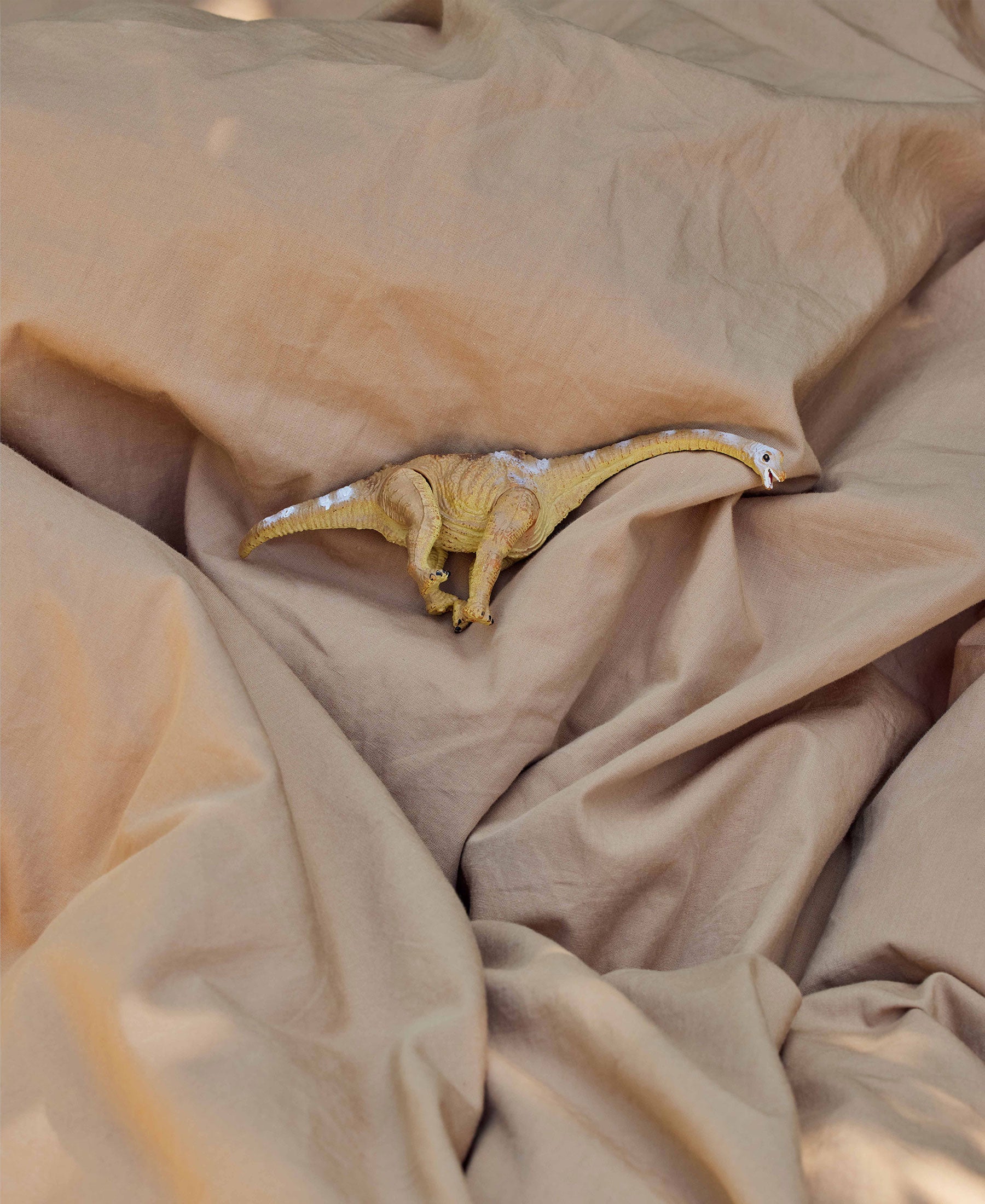 Joha Junior Bettwäsche, Sandy Feet